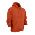 0017918_unisex-phoenix-hoodie_625