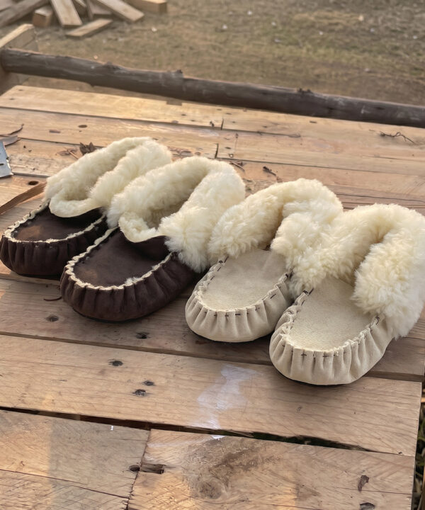 Wildhyde 2col togetherSlippers_main